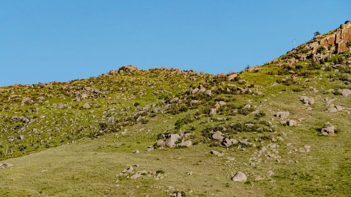 Zentral-Mongolei und Wüste Gobi: im Reich des Dschingis Khan (216)