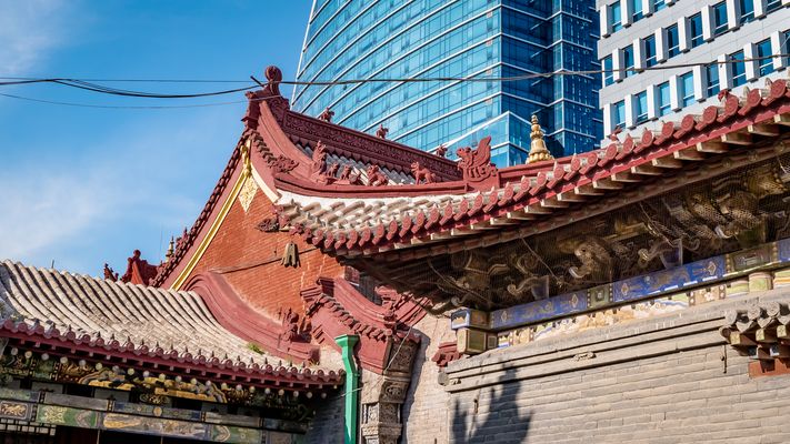 Zentral-Mongolei und Wüste Gobi: im Reich des Dschingis Khan (230)