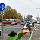 zentralfriedhof 01