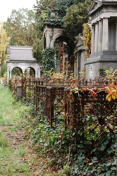 Zentralfriedhof 1