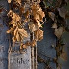 Zentralfriedhof, 1. Tor