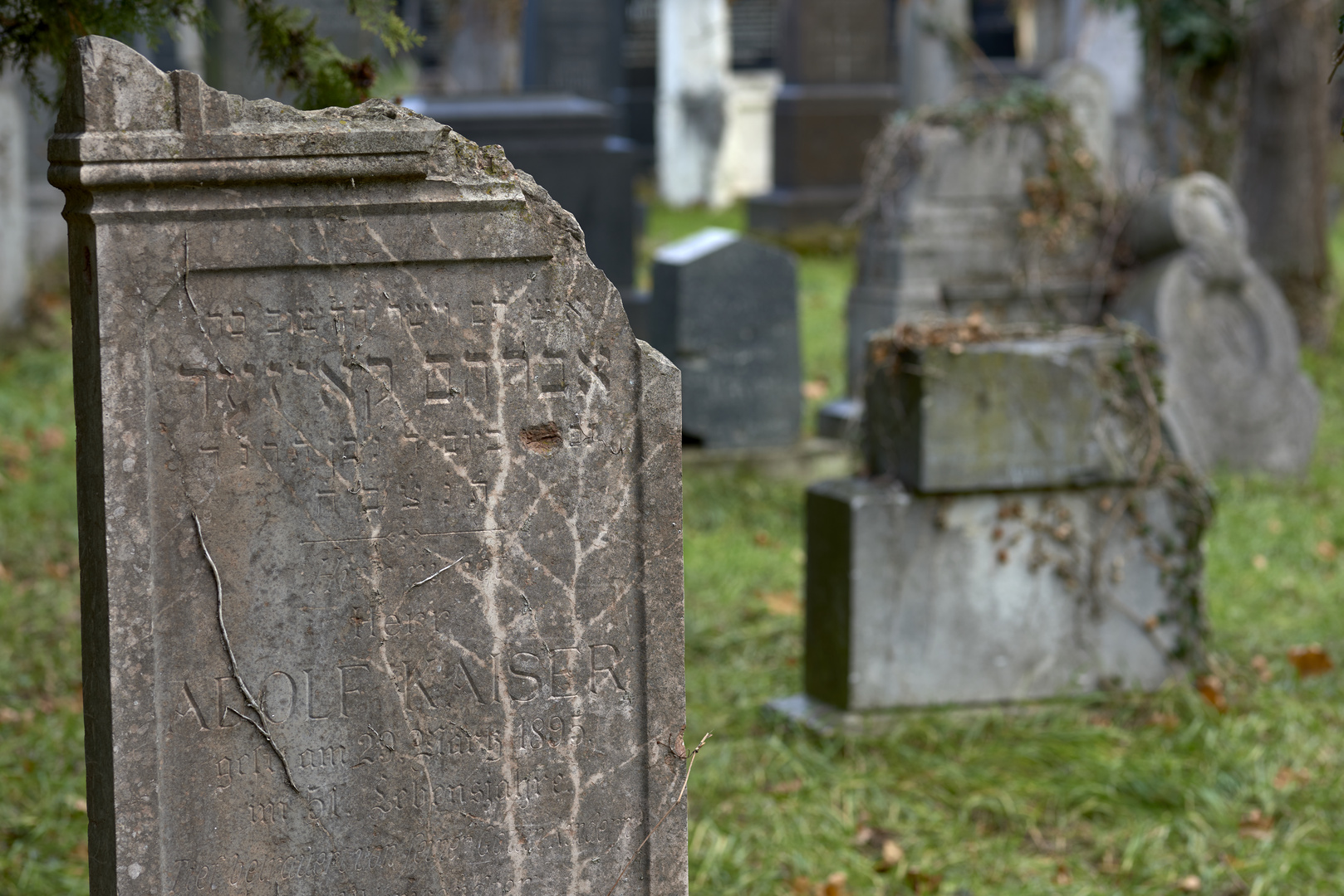 Zentralfriedhof, 1. Tor