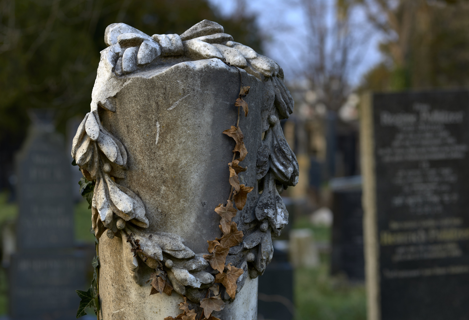 Zentralfriedhof, 1. Tor