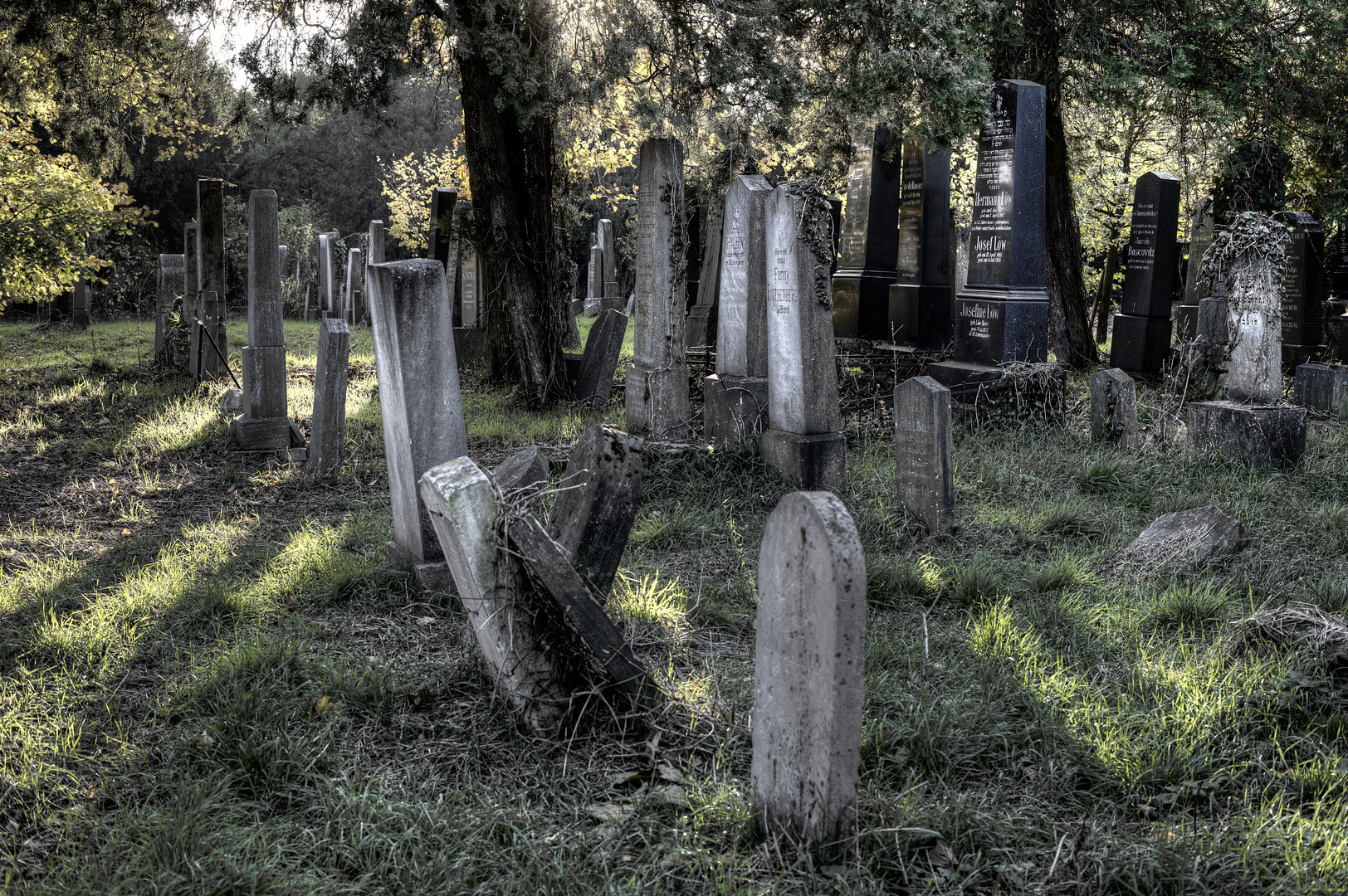 Zentralfriedhof, 1. Tor