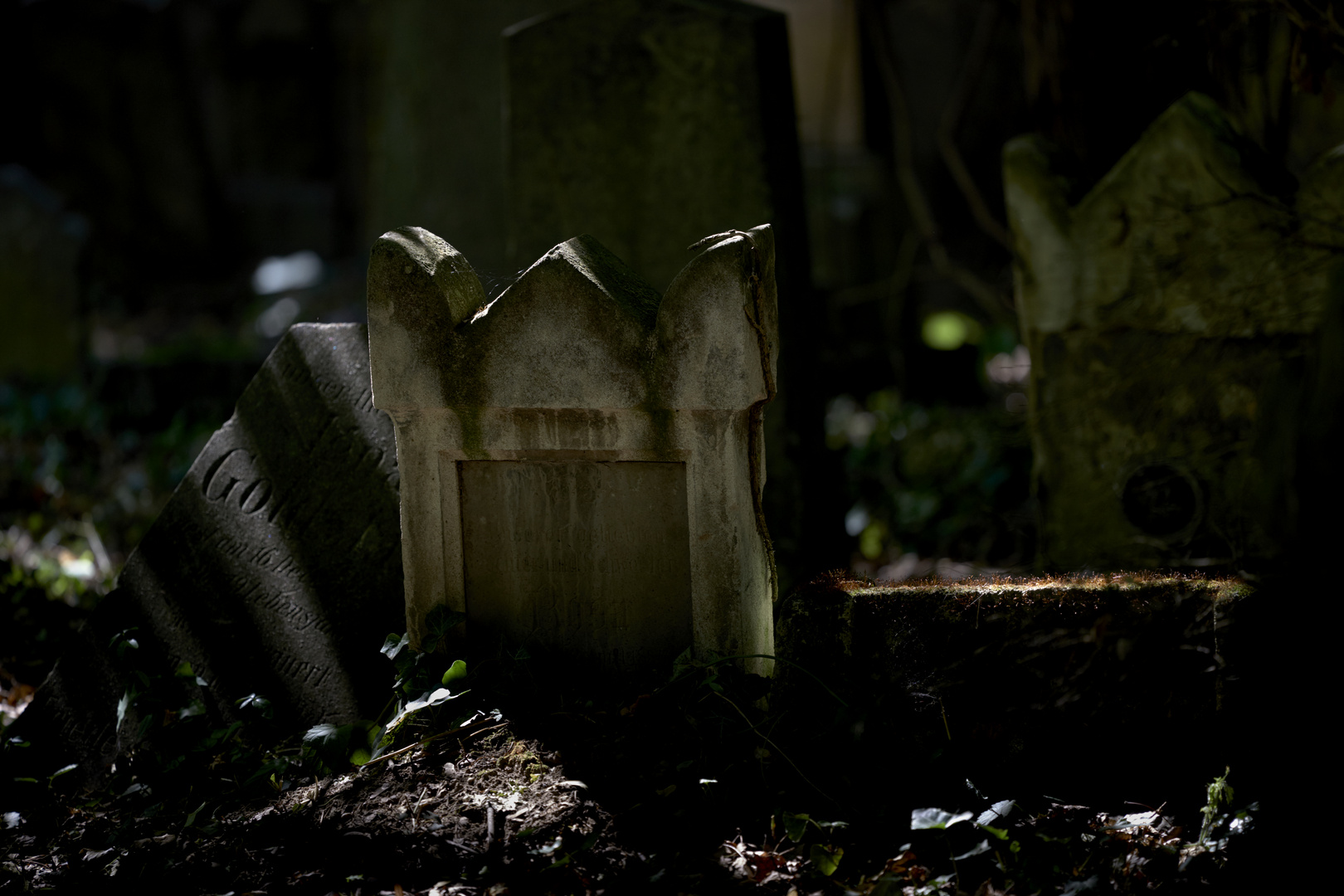 Zentralfriedhof, 1. Tor