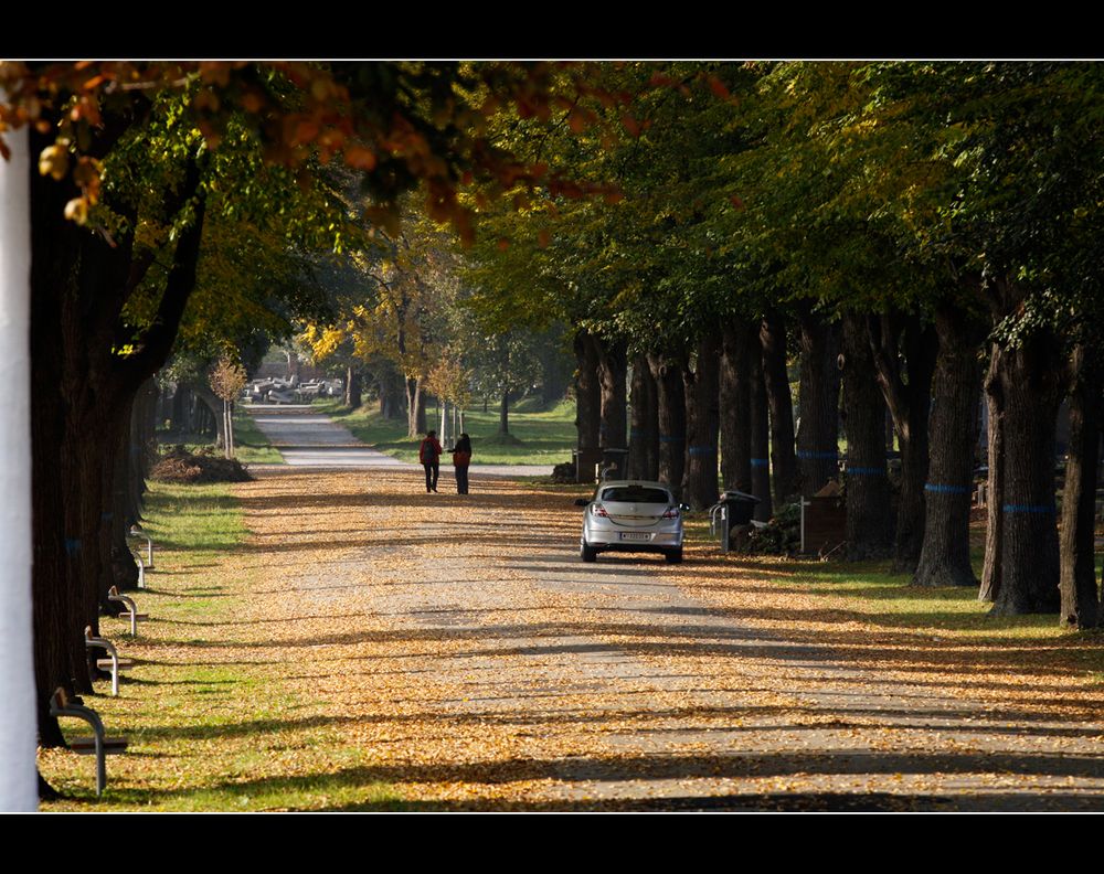 Zentralfriedhof 2