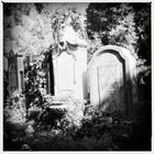 Zentralfriedhof 3