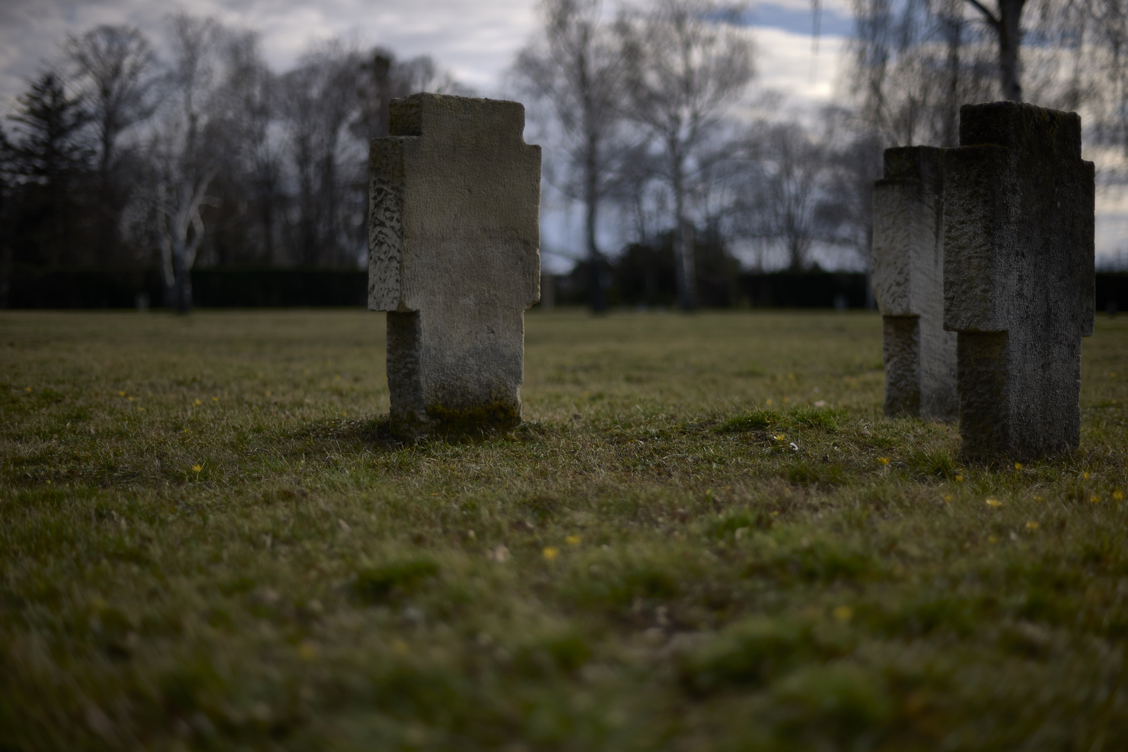 Zentralfriedhof