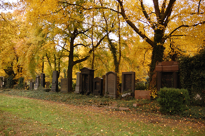 Zentralfriedhof 8