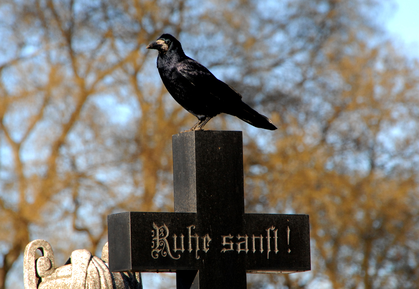 Zentralfriedhof