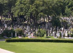 Zentralfriedhof