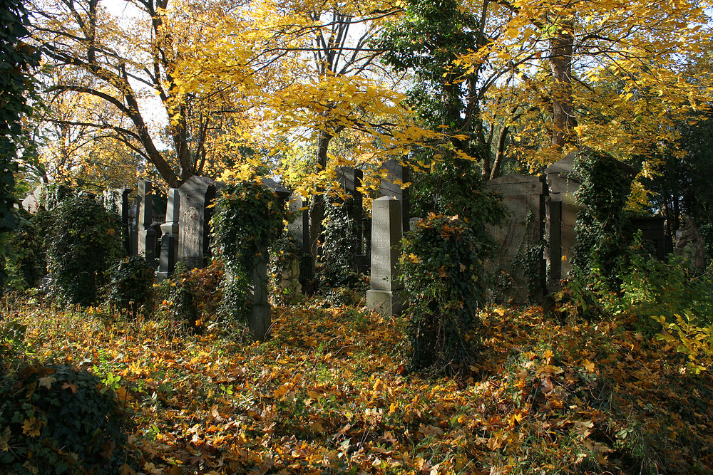 Zentralfriedhof: alter jüdischer Friedhof (2)
