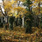 Zentralfriedhof: alter jüdischer Friedhof (2)