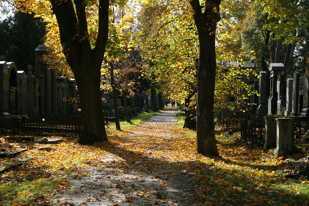 Zentralfriedhof: alter jüdischer Friedhof