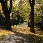 Zentralfriedhof: alter jüdischer Friedhof