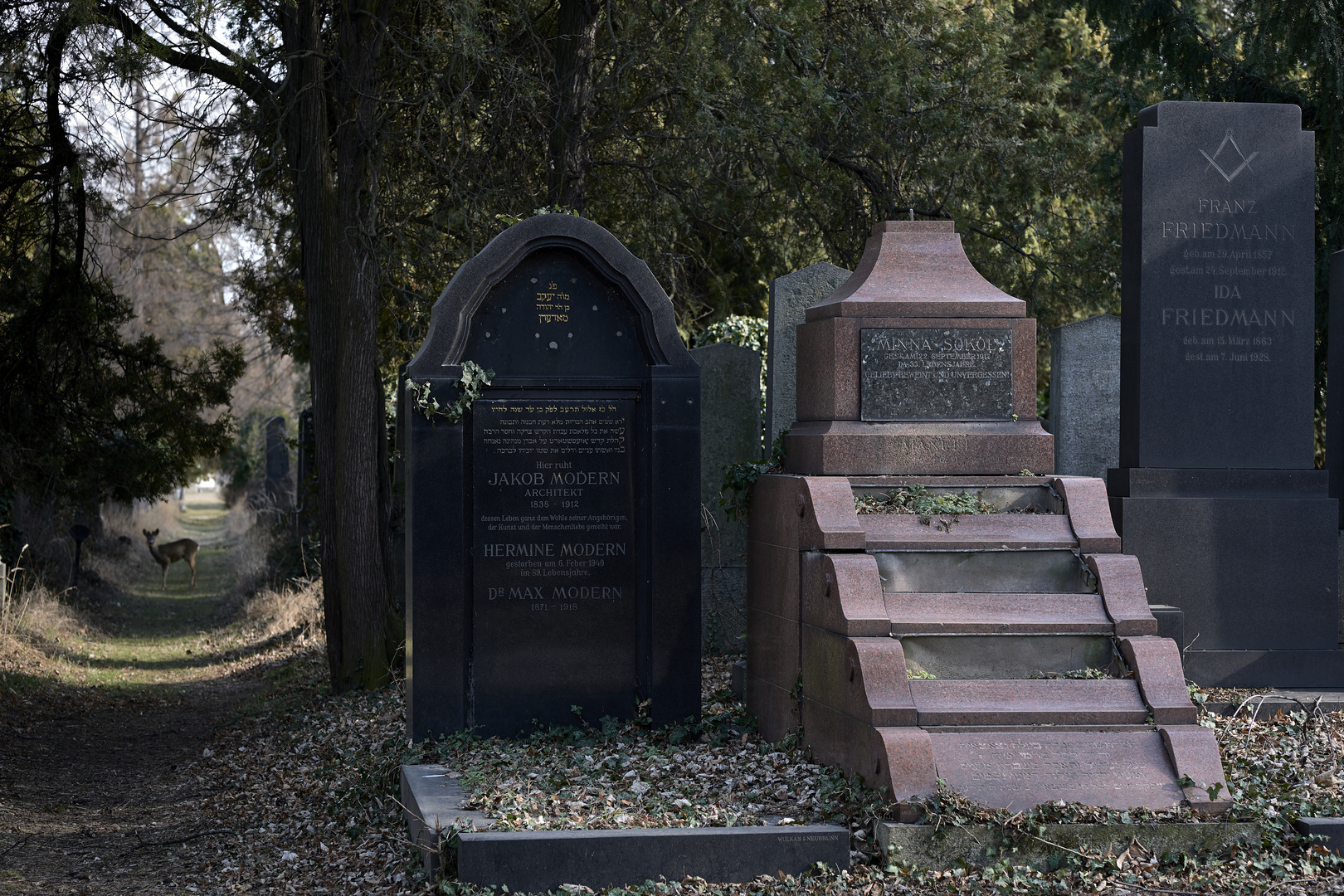 Zentralfriedhof