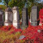 Zentralfriedhof II