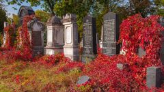 Zentralfriedhof II