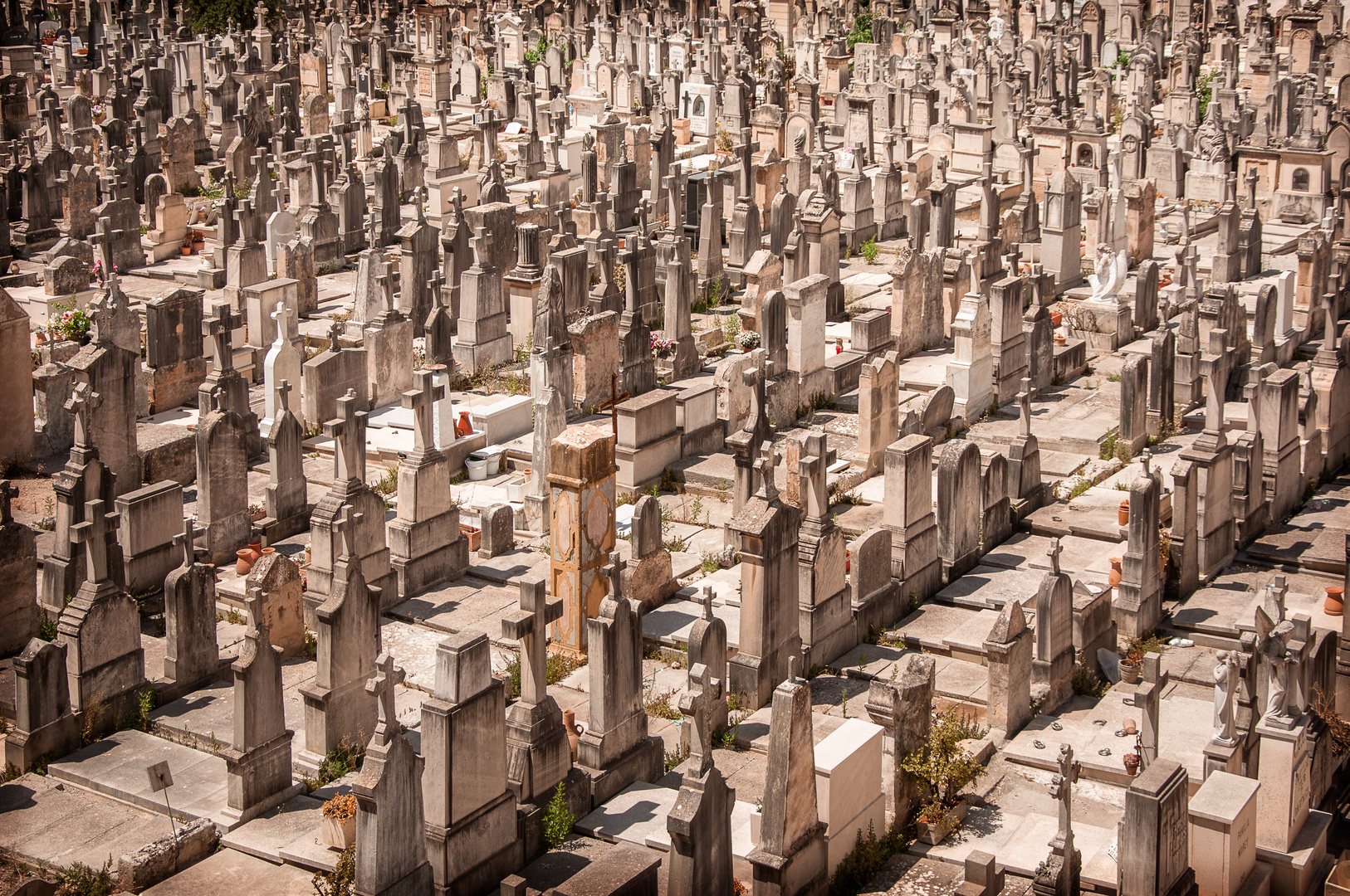 Zentralfriedhof in Palma