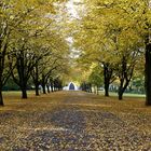 Zentralfriedhof Stralsund