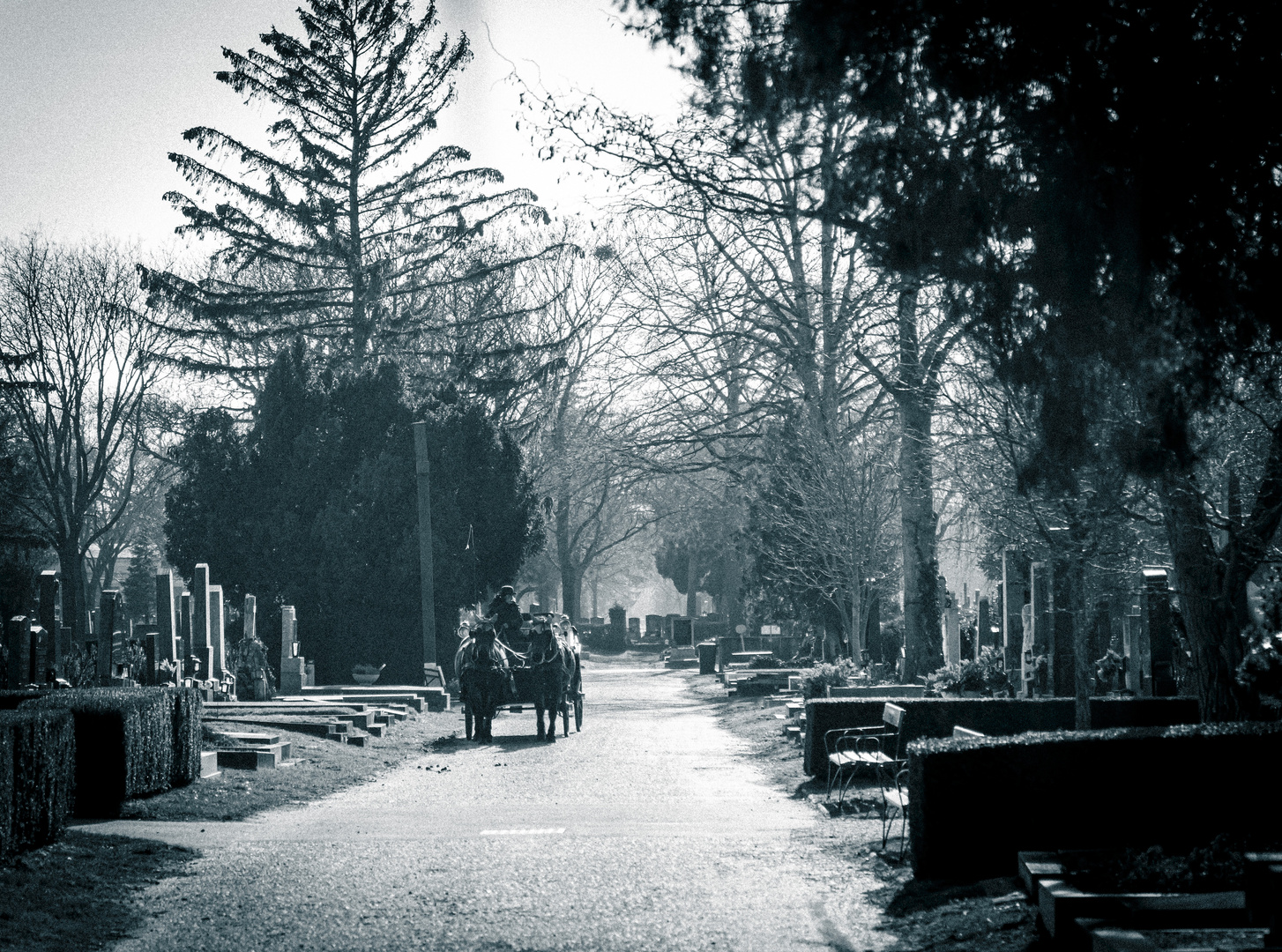 Zentralfriedhof Wien