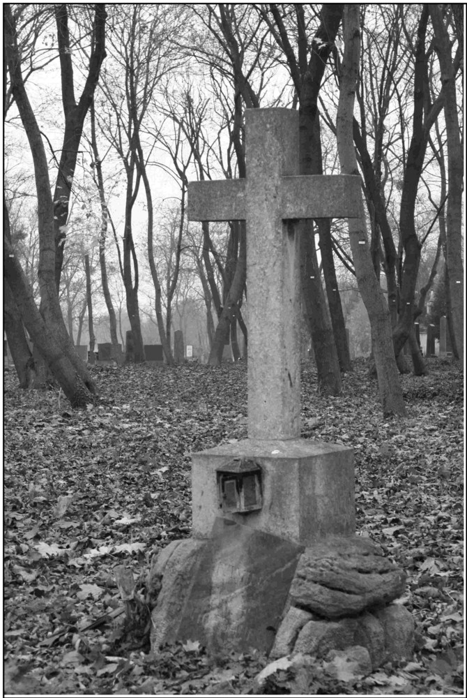 Zentralfriedhof Wien (6)