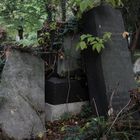 Zentralfriedhof Wien