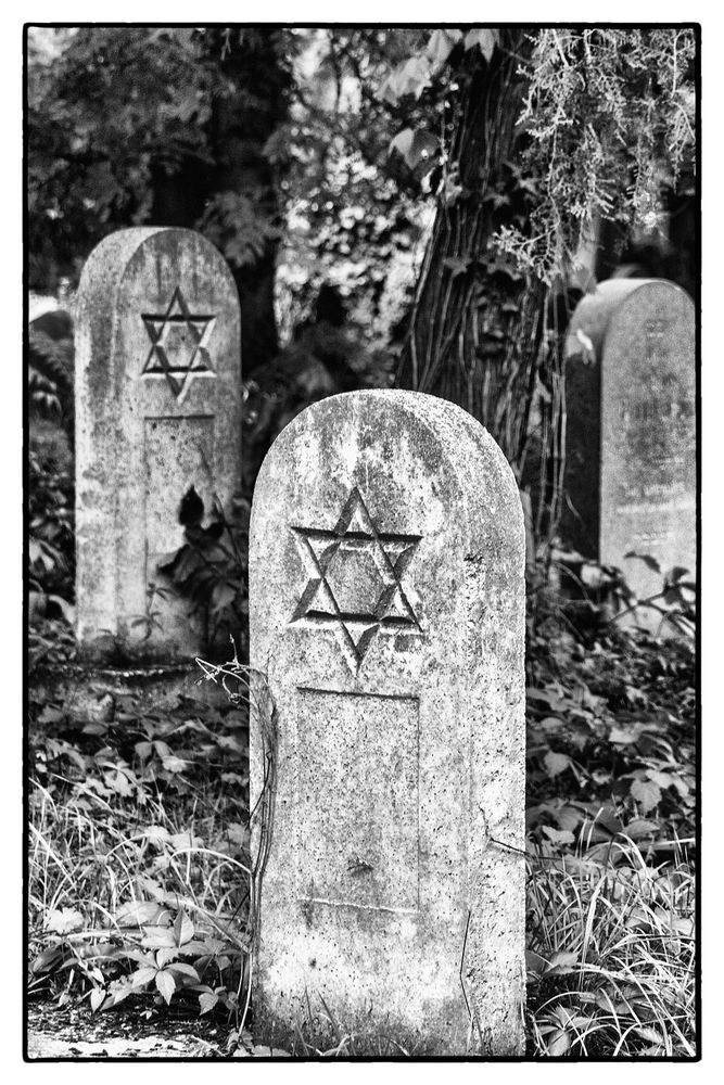 Zentralfriedhof Wien: Alter Jüdischer Friedhof