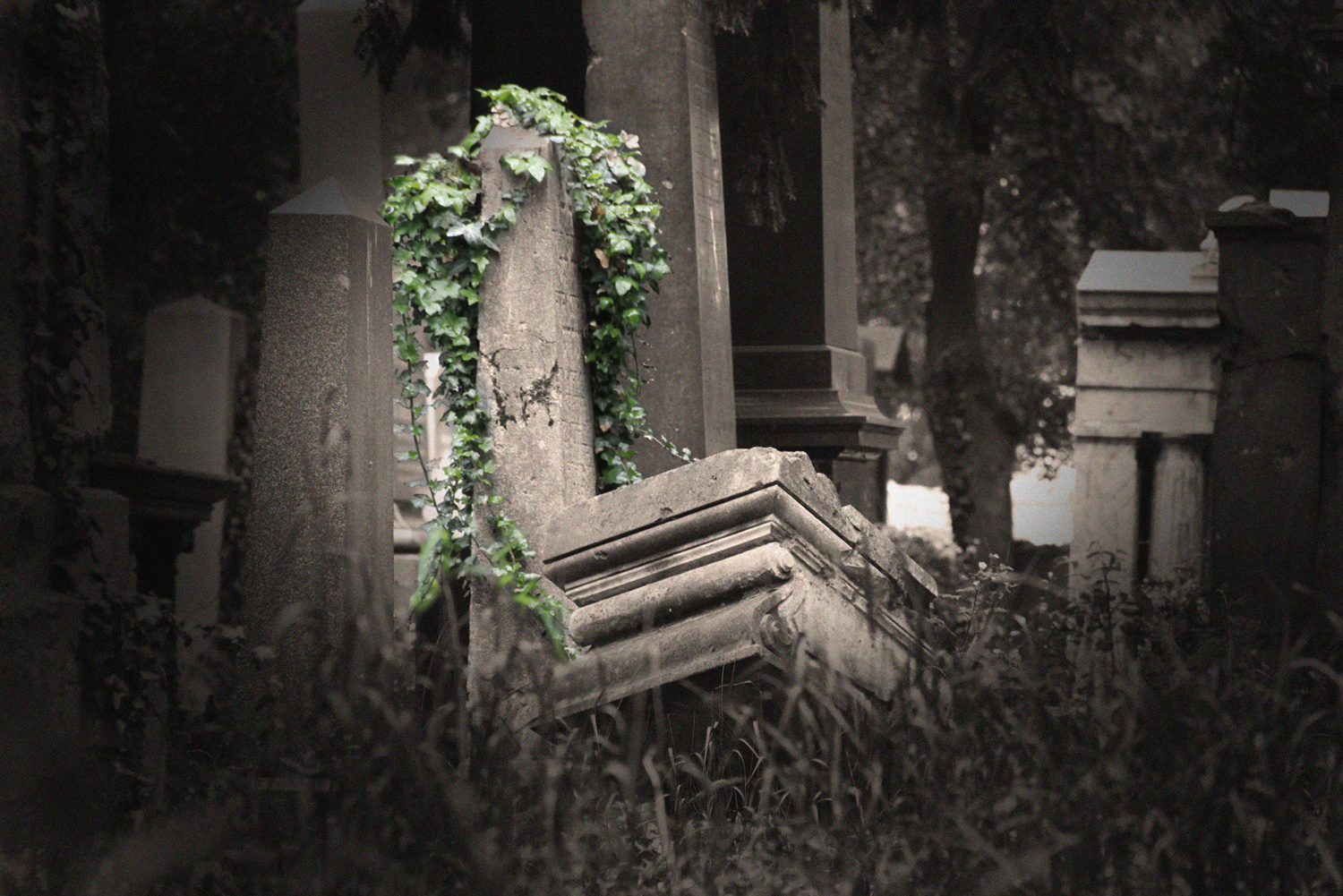 Zentralfriedhof Wien