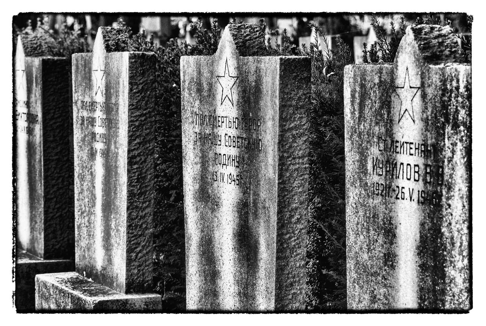 Zentralfriedhof Wien: Sowjetische Kriegsgräber des 2. Weltkrieges