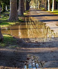 zentralfriedhofspaziergang...