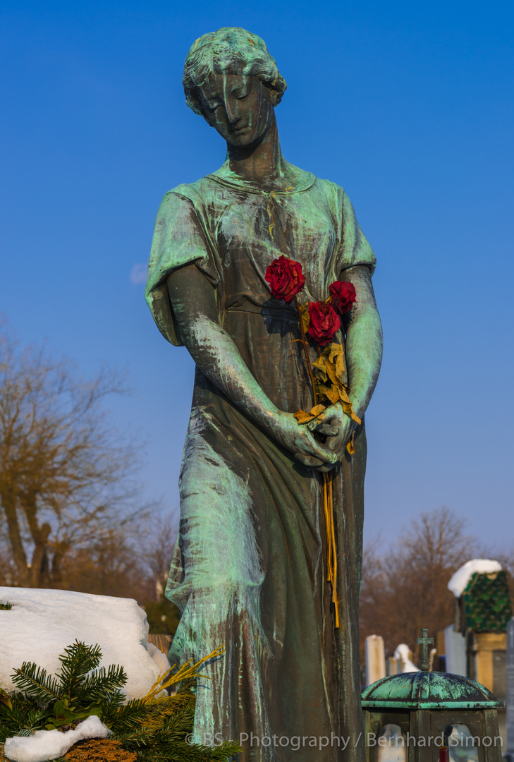 Zentralfriedhof_Winter_Wien