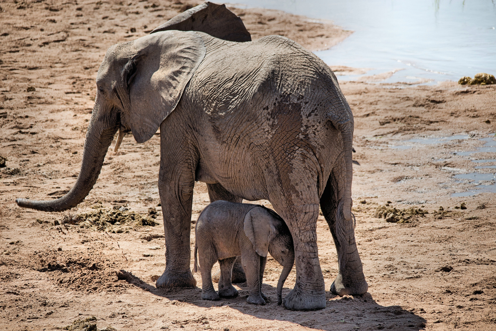 Zentraltansania - Ruaha Nationalpark