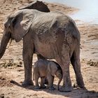 Zentraltansania - Ruaha Nationalpark