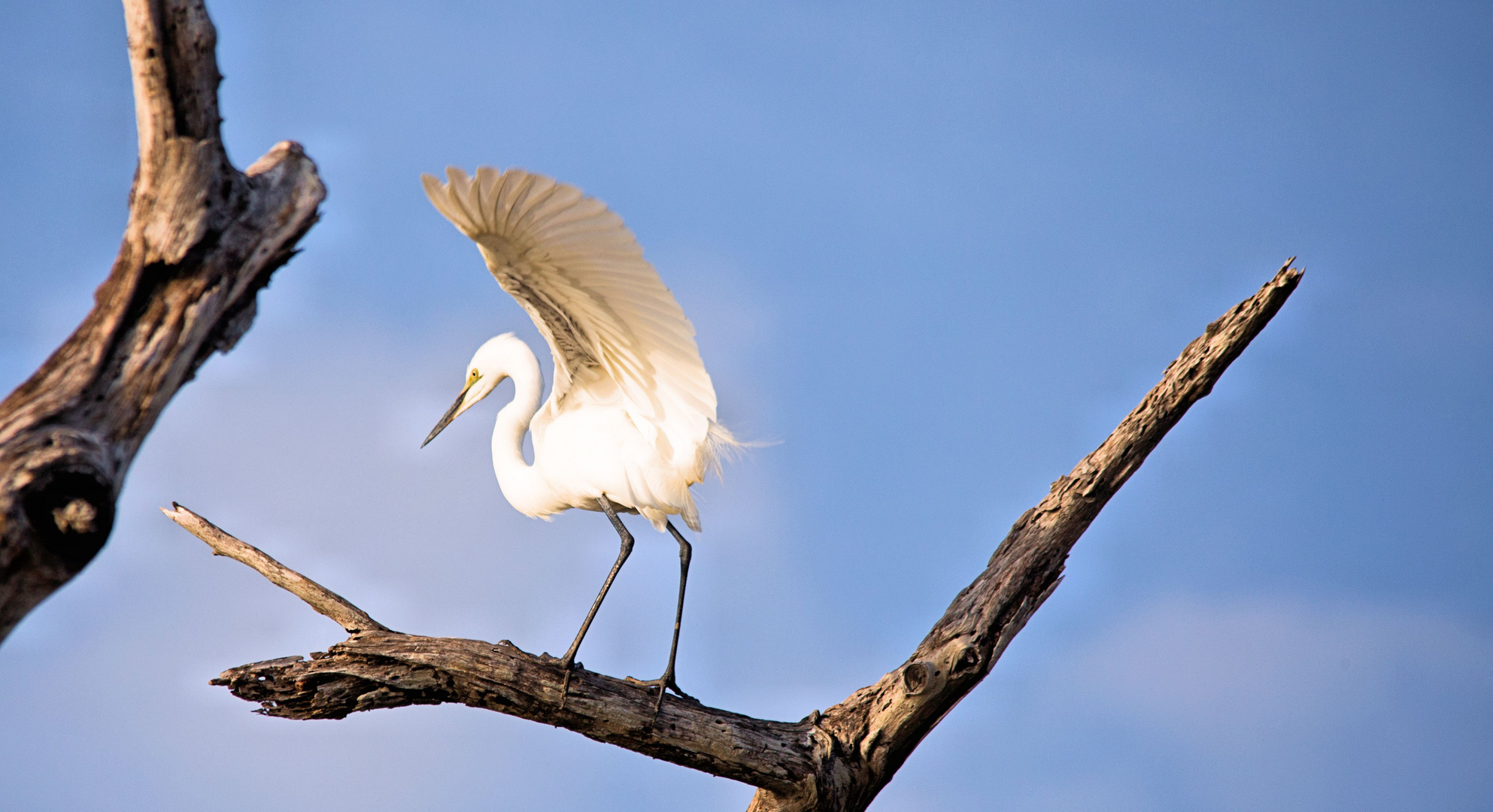 Zentraltansania - Ruaha Nationalpark