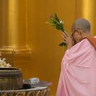 Zentrum des Glaubens - die Shwedagon Pagode