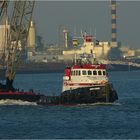 ZEPHYRUS / Coastal Tug / Beerkanal / Europoort / Rotterdam