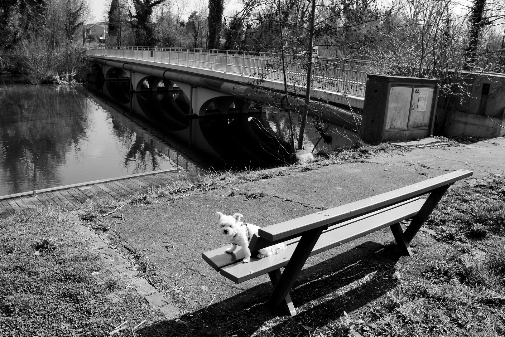 Zeppelinbrücke Augst -Kaiseraugst