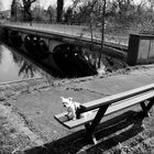 Zeppelinbrücke Augst -Kaiseraugst