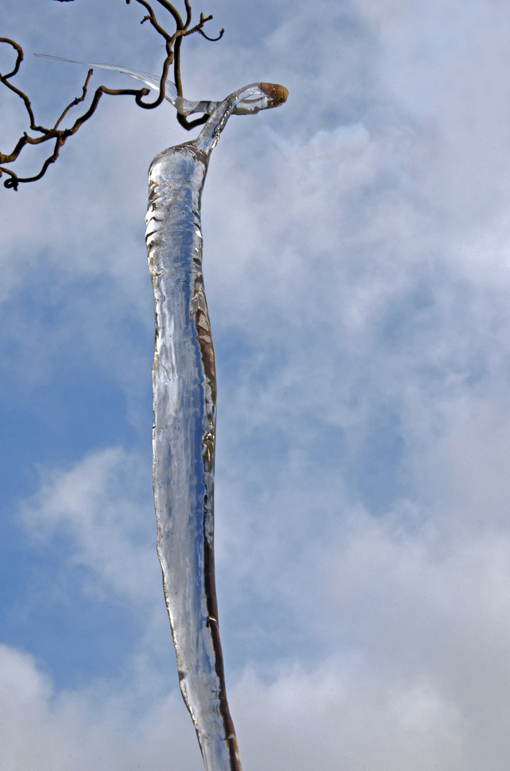 zerbrechlich....   Eiszapfen