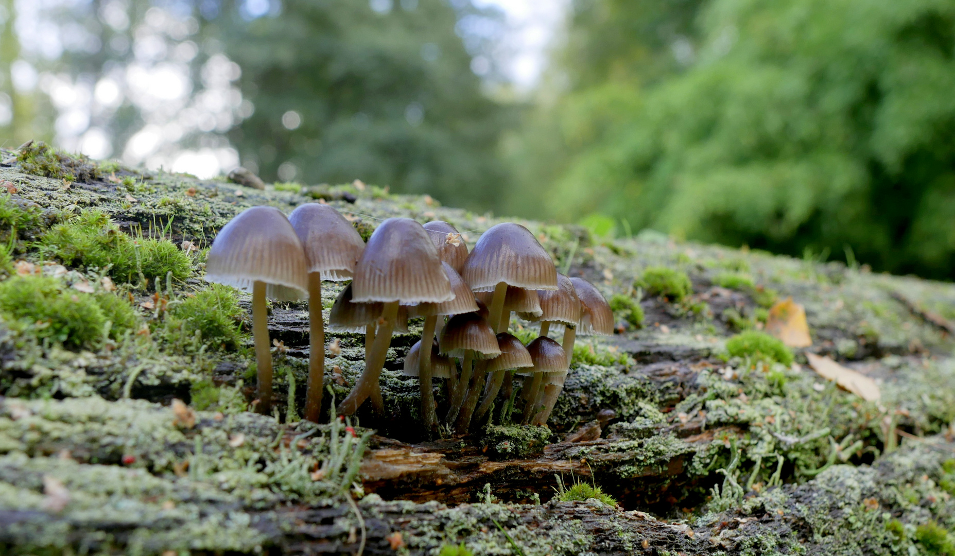 Zerbrechlich Foto & Bild world, himmel, natur Bilder auf