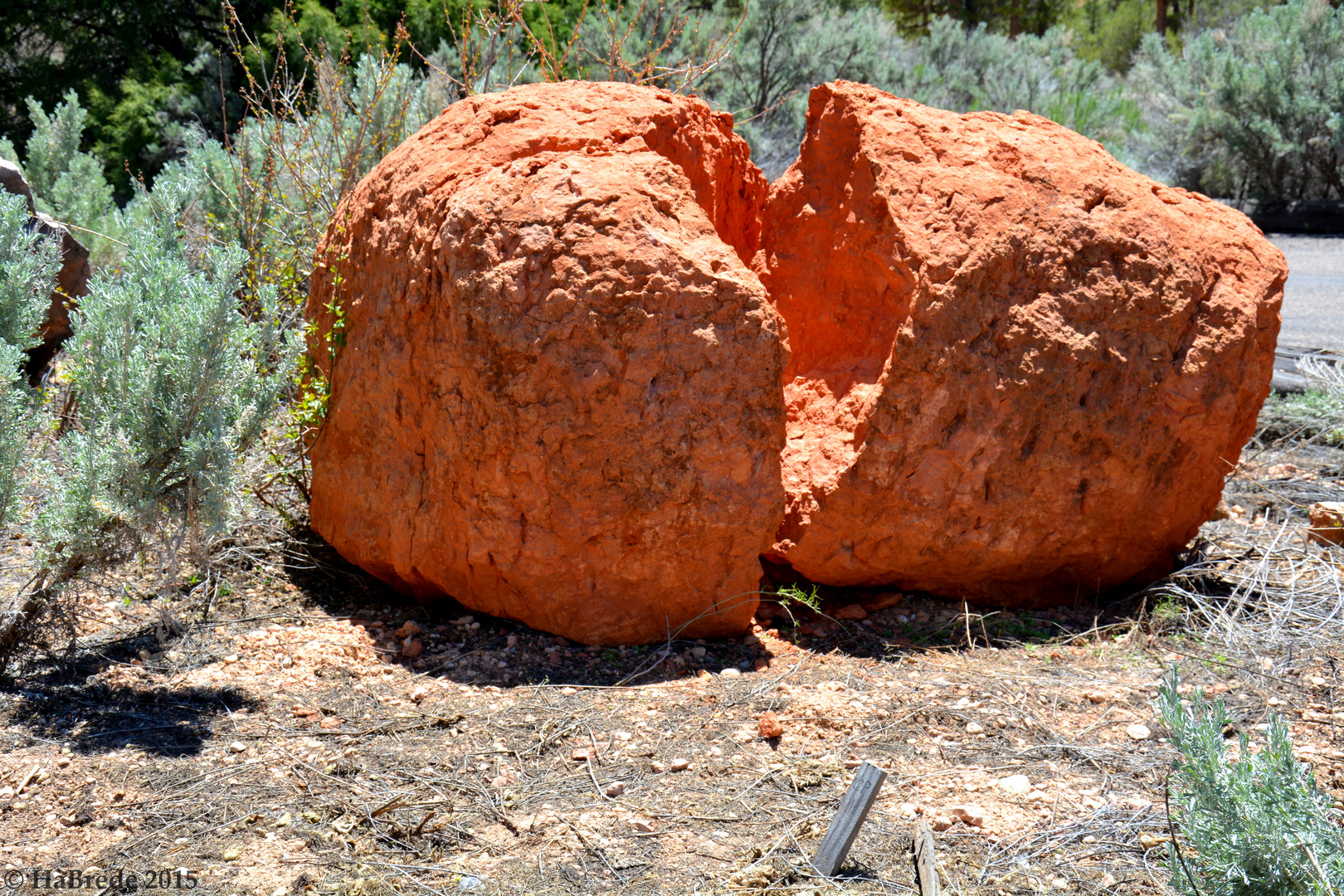 Zerbrochen im Red Canyon