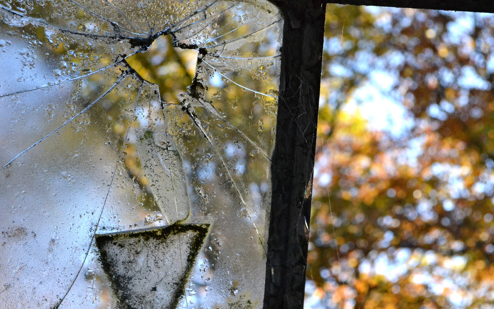 Zerbrochenes Fensterglas