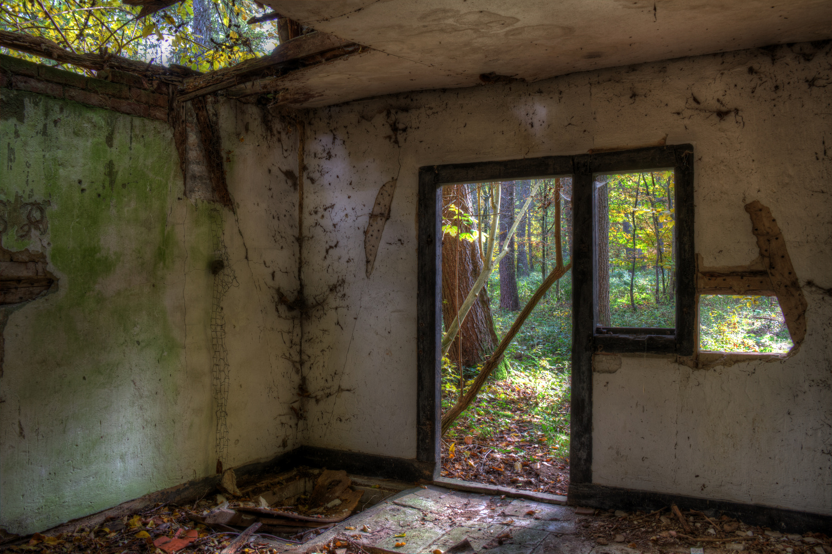 zerfallende Hütte im Wald