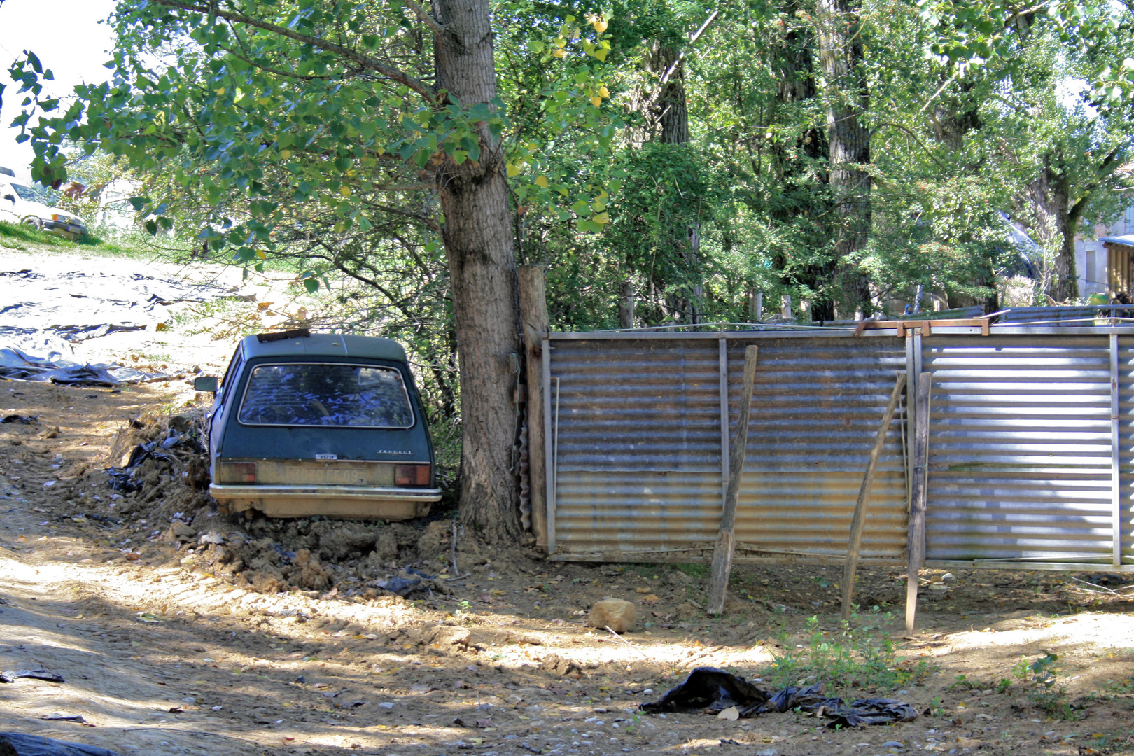 Zerfallendes in der Natur