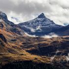 Zerfreilahorn in derSchweiz (Graubünden)°