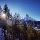 Zermatt im Januar 2021