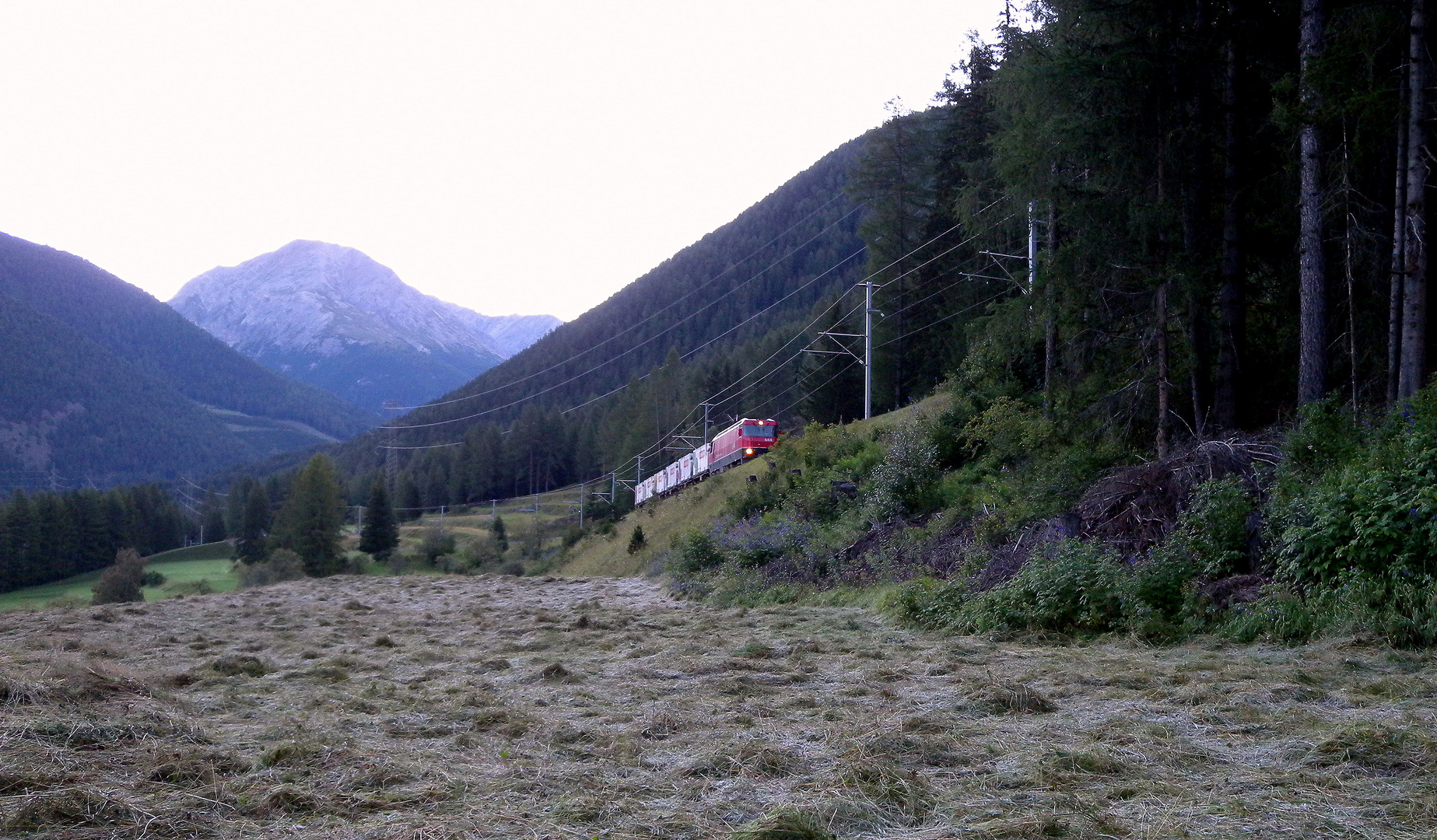 Zernez..11.08.2011--01