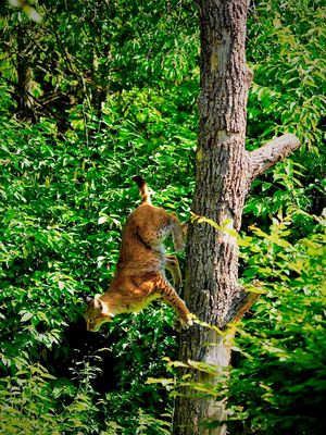 Zero Gravity P6194764