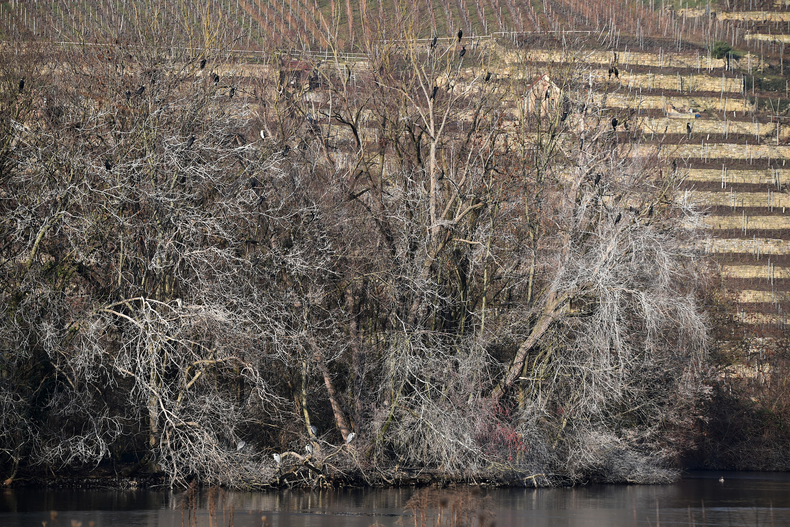 Zerstörerische Natur